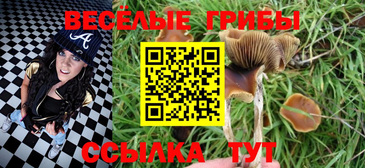 Псилоцибиновые грибы мухоморы Углич
